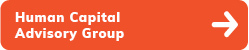 Human Capital Advisory Group graphic icon